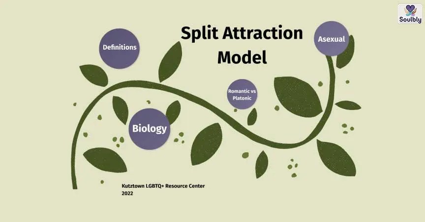 Split Attraction Model complete guide