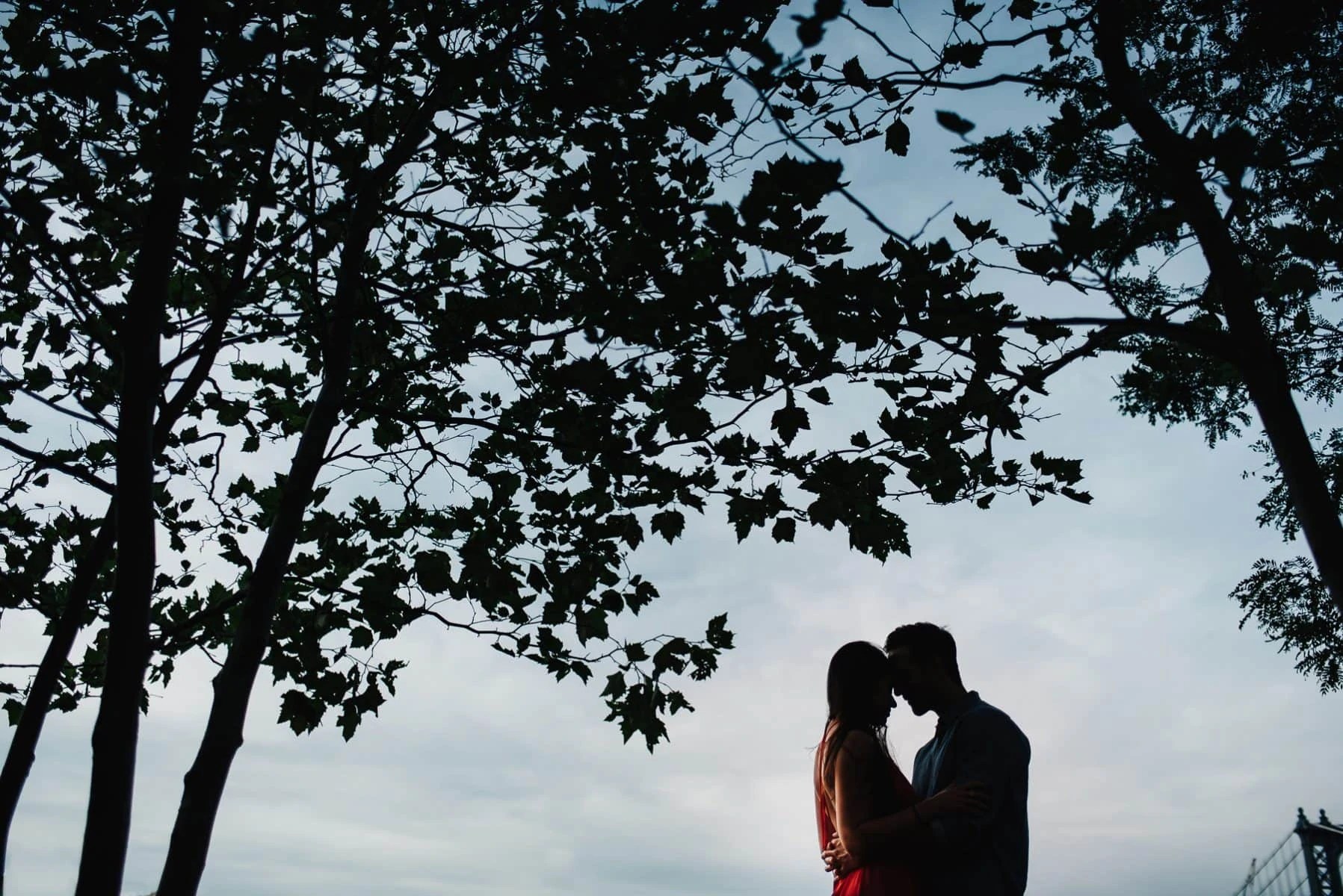 Dumbo engagement session