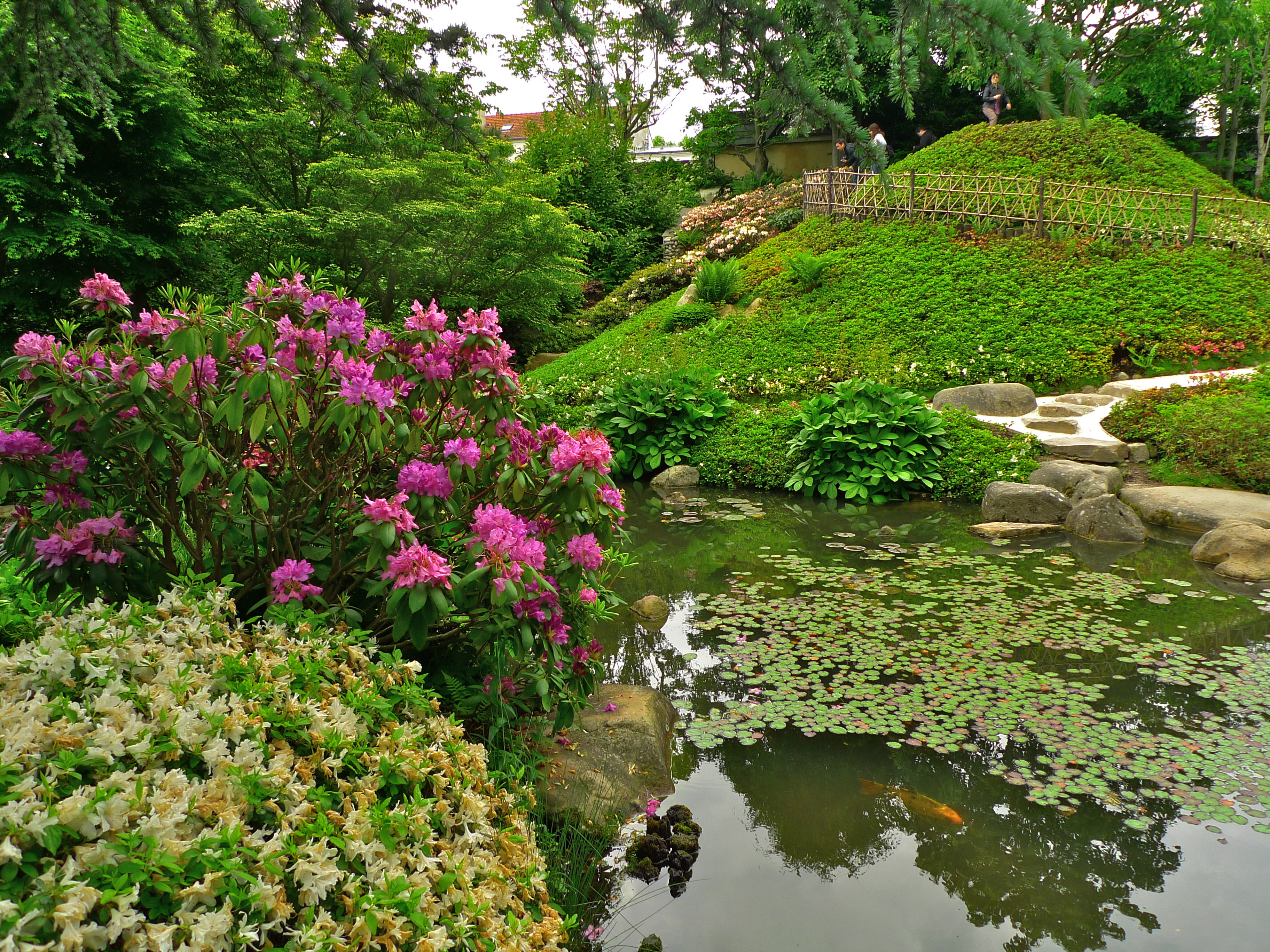 Reouverture A Boulogne Billancourt Des Jardins Albert Kahn Le Paradis D Un Banquier Philanthrope Claire En France Vous Fait Decouvrir Grace Aux Textes Photos Sons Et Videos Des Lieux Des Expositions Des