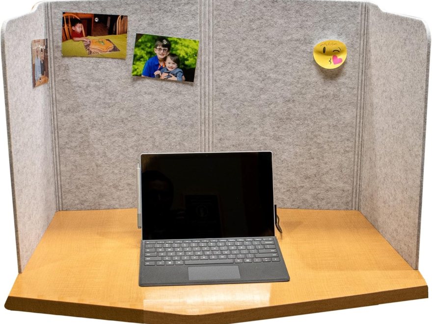 Practical Products Portable Acoustic Divider