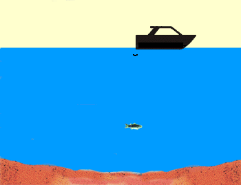 Kate suski, 36, tells the story of her shipwreck survival. Sound Underwater Survey | Jennie R. Dubois: Her Sinking