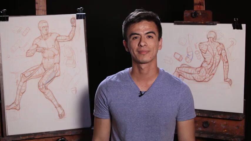 Art School Videos – Introduction To Figure Construction