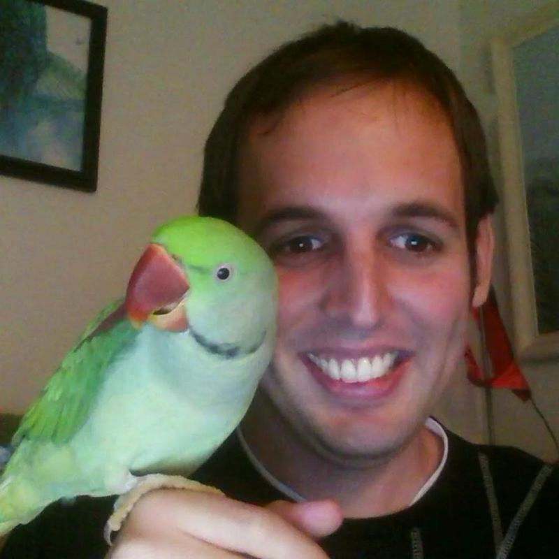 Eggplantbren Brendon J Brewer Github - Download Creative Landscape Photo | Mobile