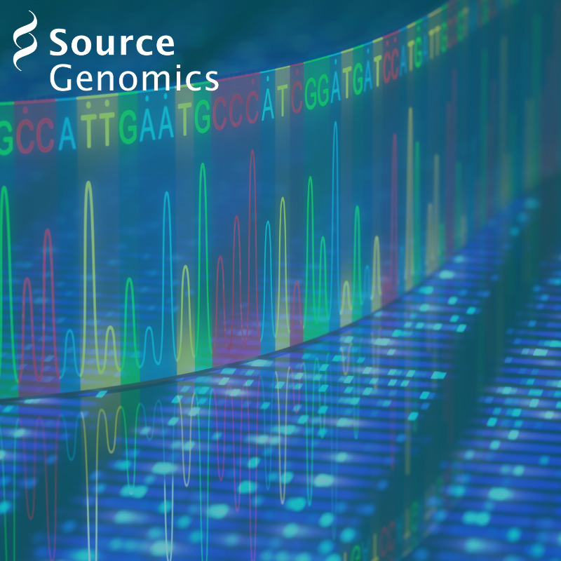 News Source Bioscience - Ultra HD Retina Sunset Backgrounds | Free Download