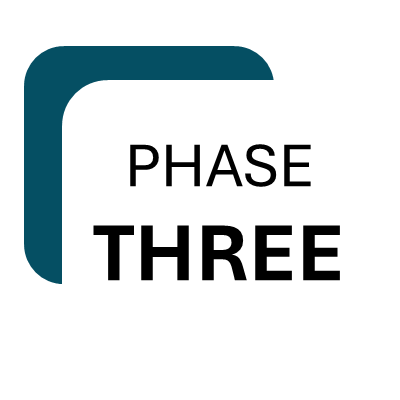 Phase 3