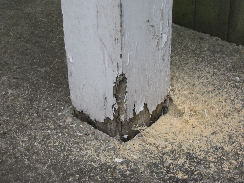 carpentry in southampton