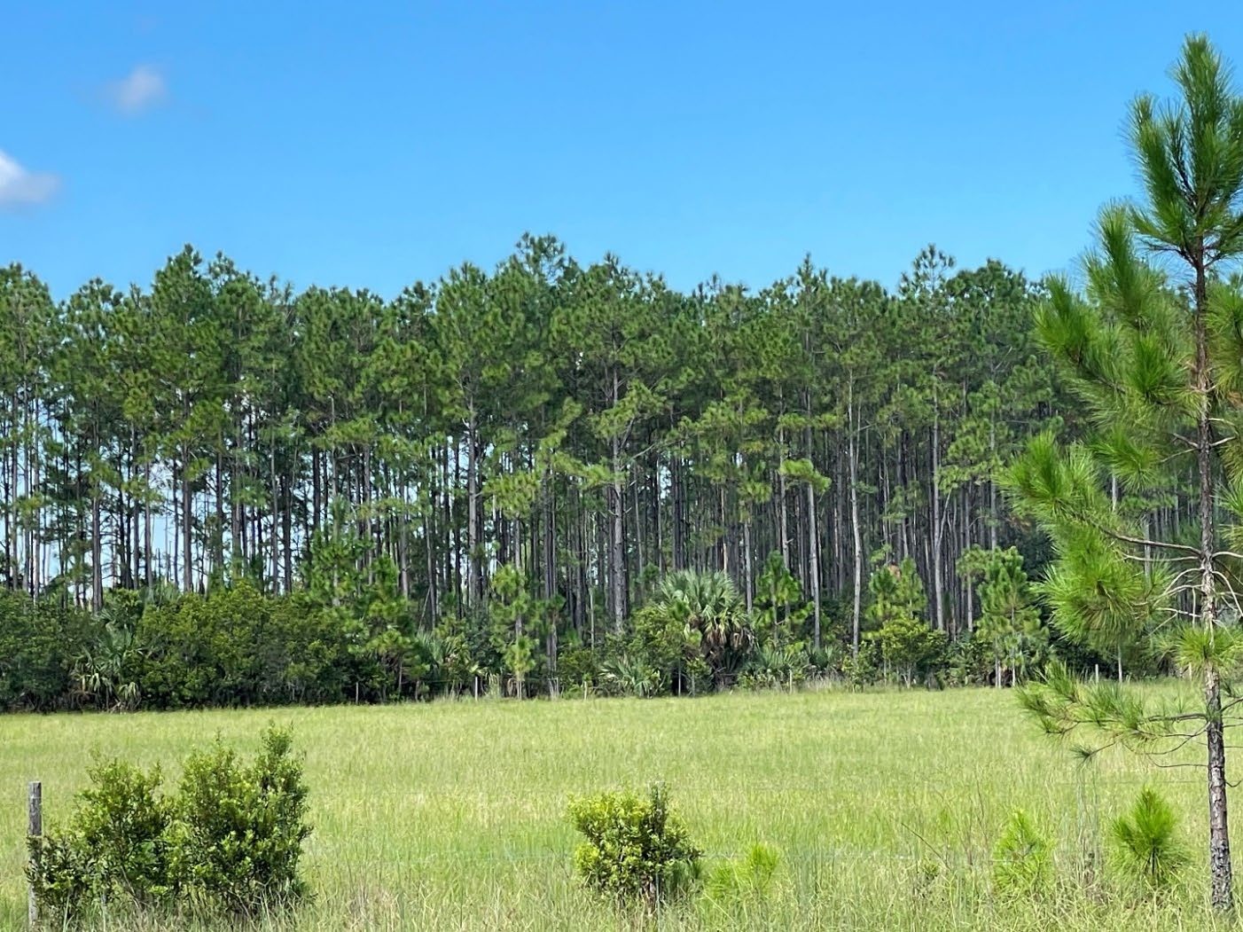 Florida