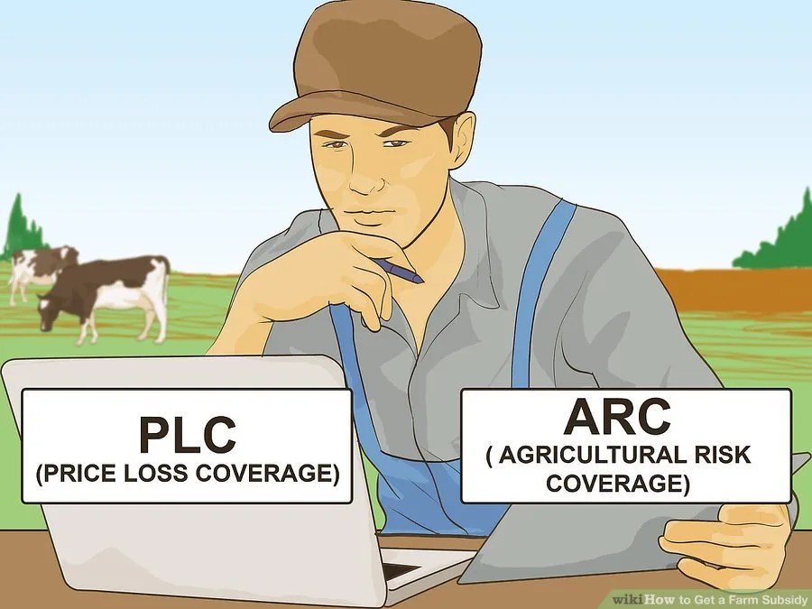 Featured image for “A Look At Government Programs For Row Crops”