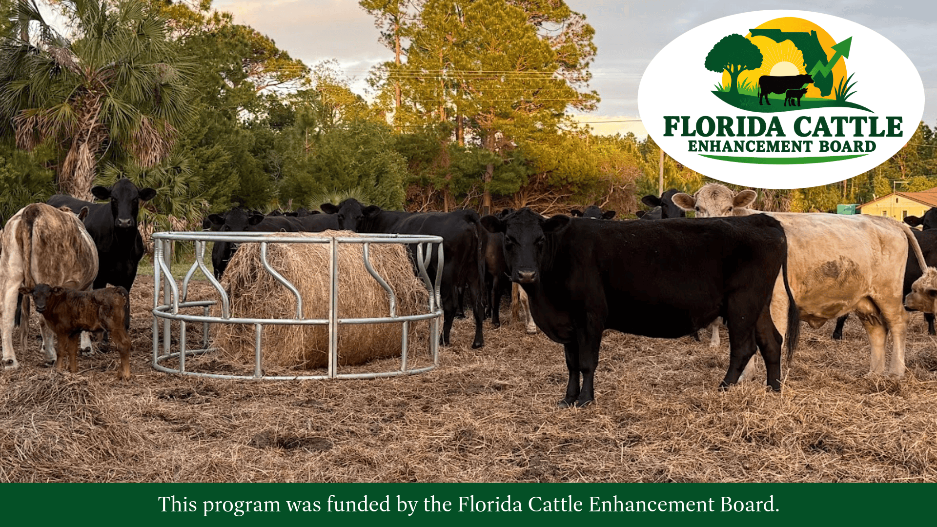 National Cattlemen's Beef Association