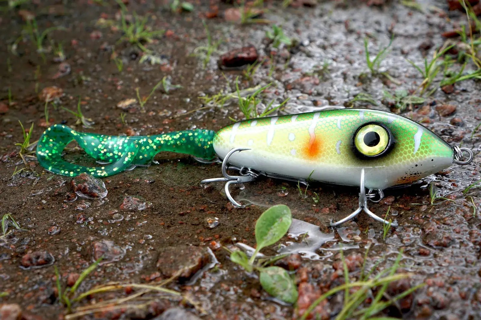 Fishing lure used as bait, showing how phishing simulations measure cyber security awareness