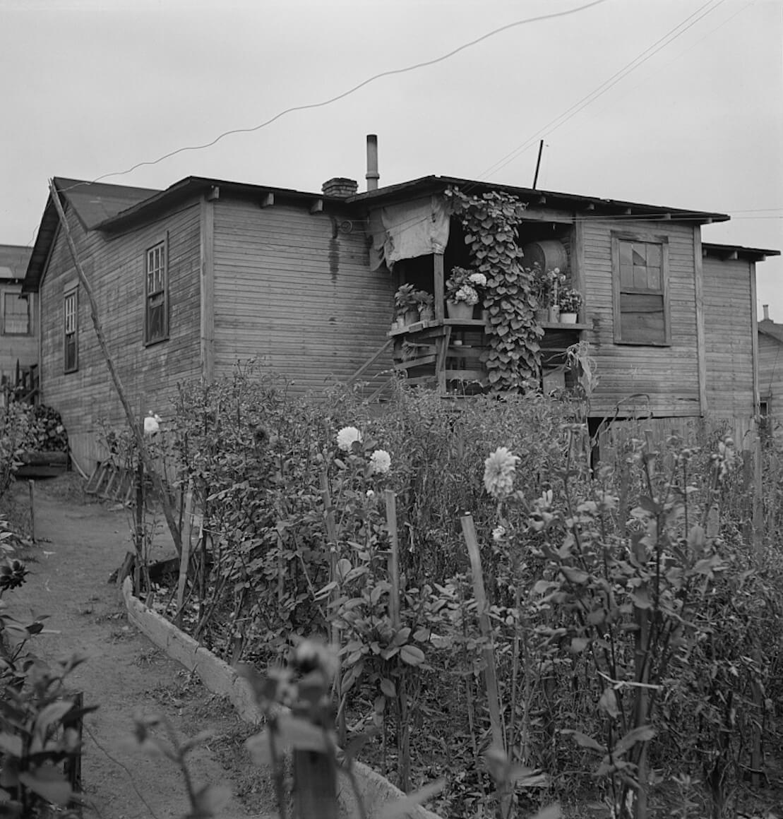 Rear of coal miner's home, Chaplin, West Virginia, September 1938