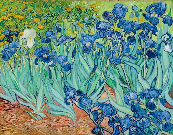 Vincent Van Gough Irises Courtesy of Google Arts & Culture & J Paul Getty Museum 