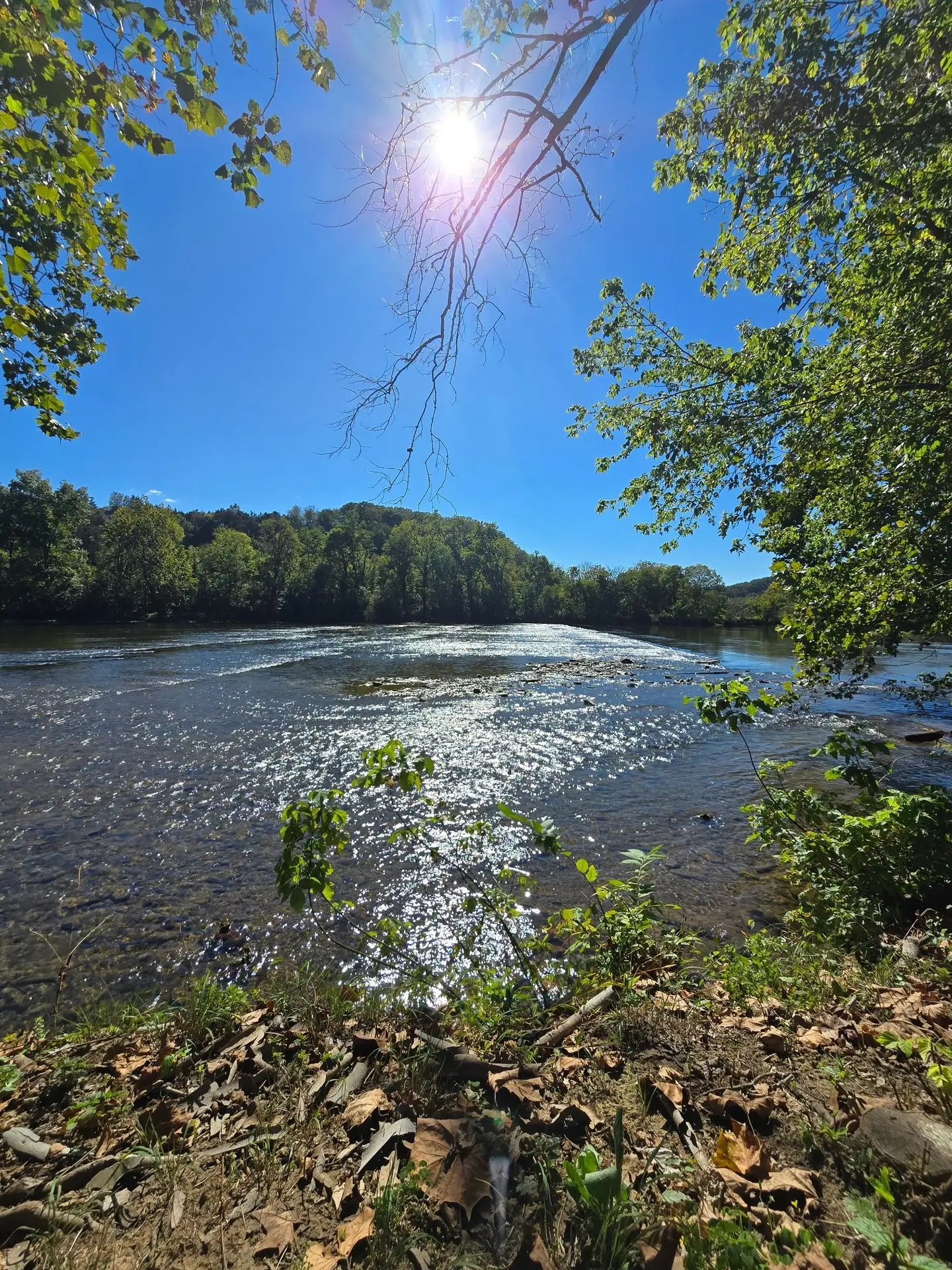 South River Farm Campground