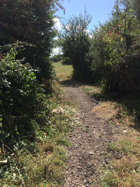 The entrance into Sheepfield by Louise B