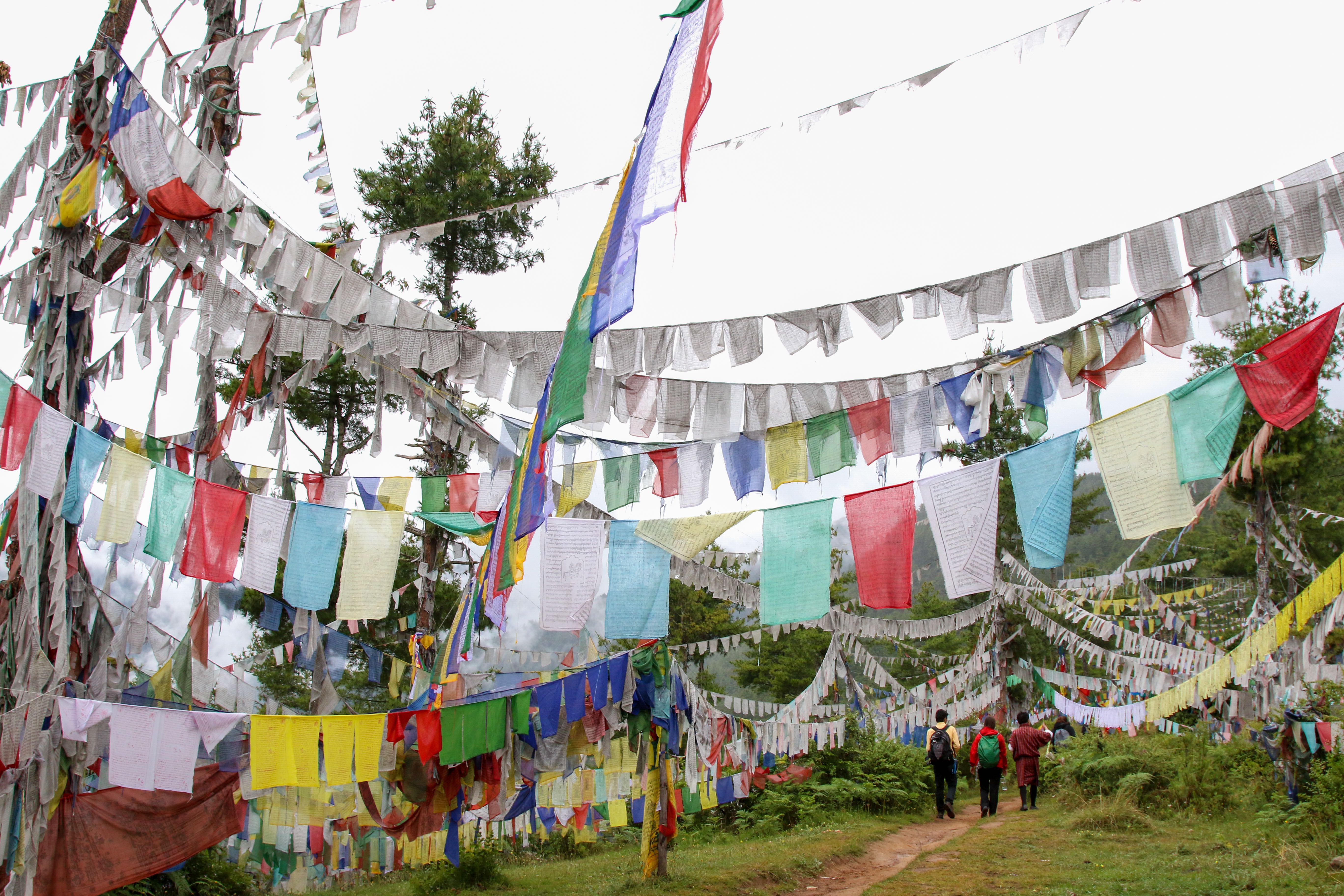 flags