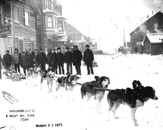 A dog team in Dawson in 1899