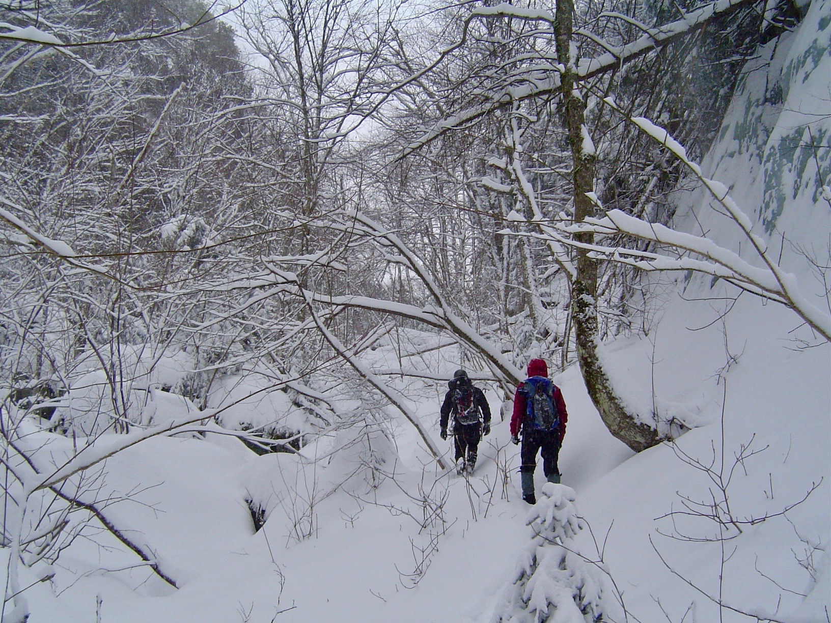 A short approach to Chapel Pond Canyon