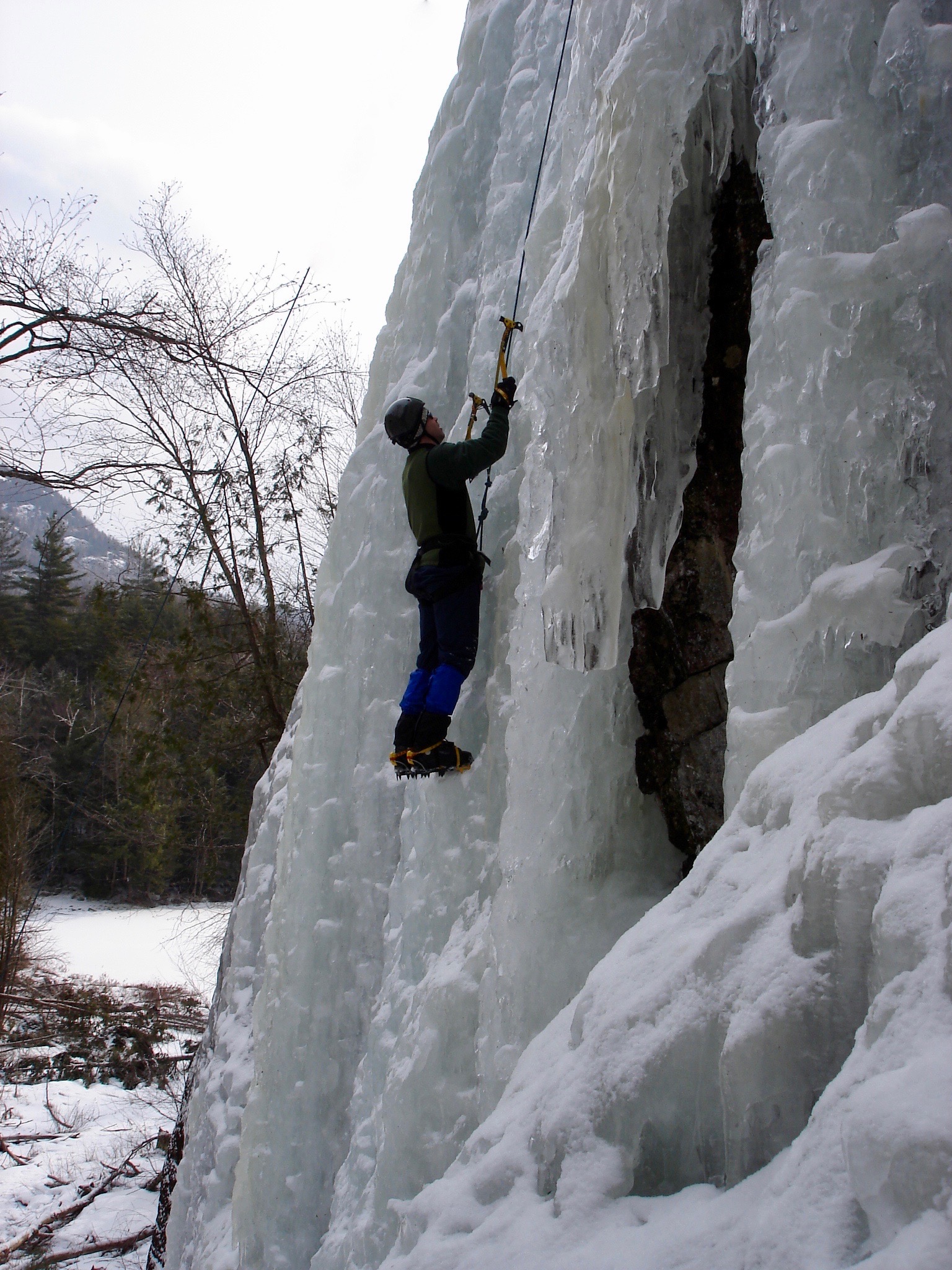 Kai on Whales in the Jungle