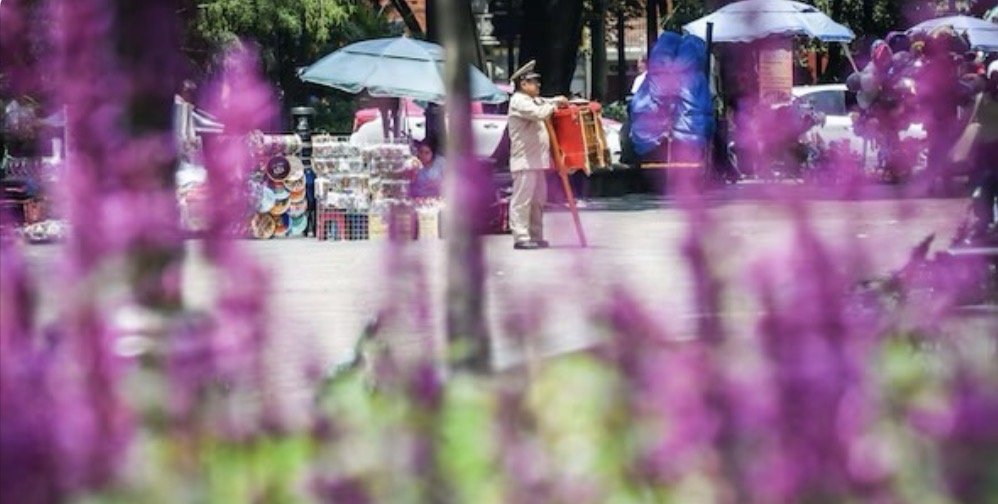 ¿De qué mueren los mexicanos? Estas fueron las 3 principales causas en 2025, según INEGI 🩺🇲🇽