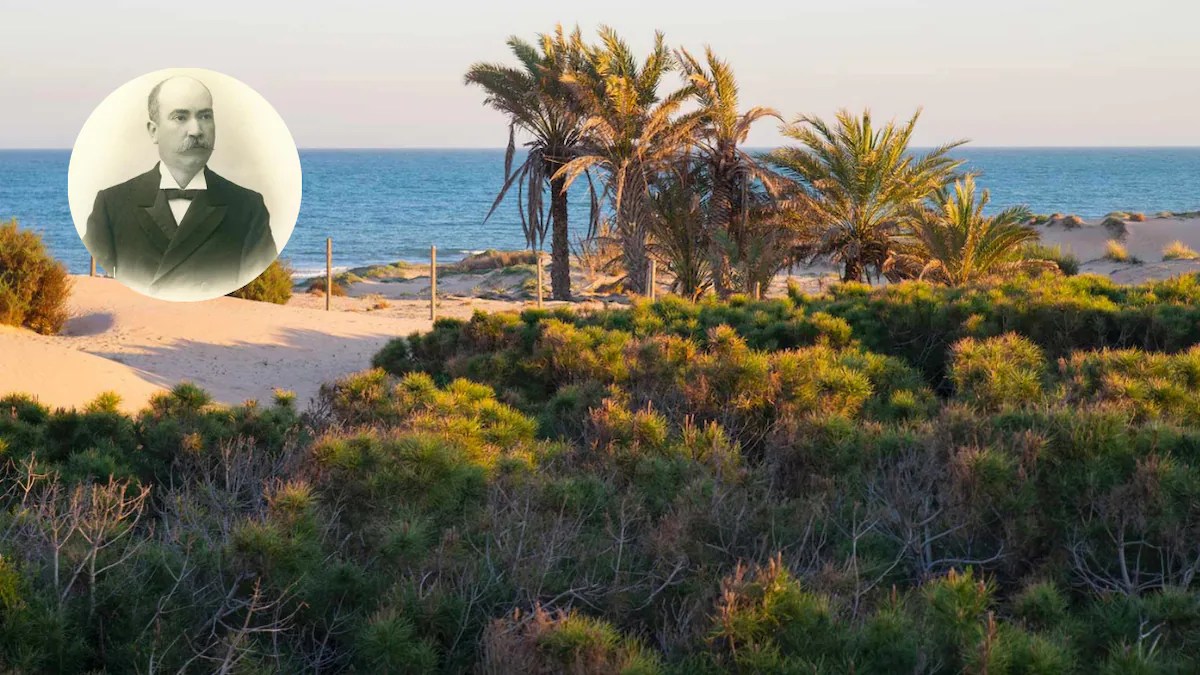 El ingeniero español que derrotó al desierto: el bosque de 800 hectáreas que salvó a Sierra Espuña y al Mediterráneo 🌲🌊🇪🇸
