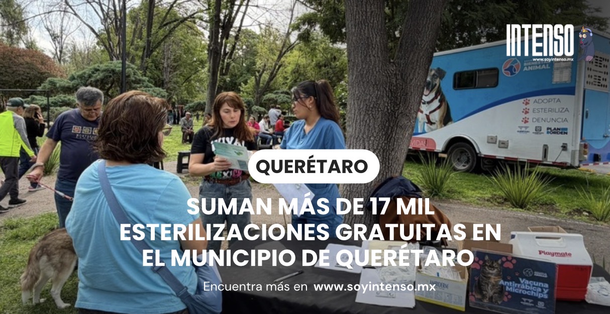 Suman más de 17 mil esterilizaciones gratuitas en el Municipio de Querétaro