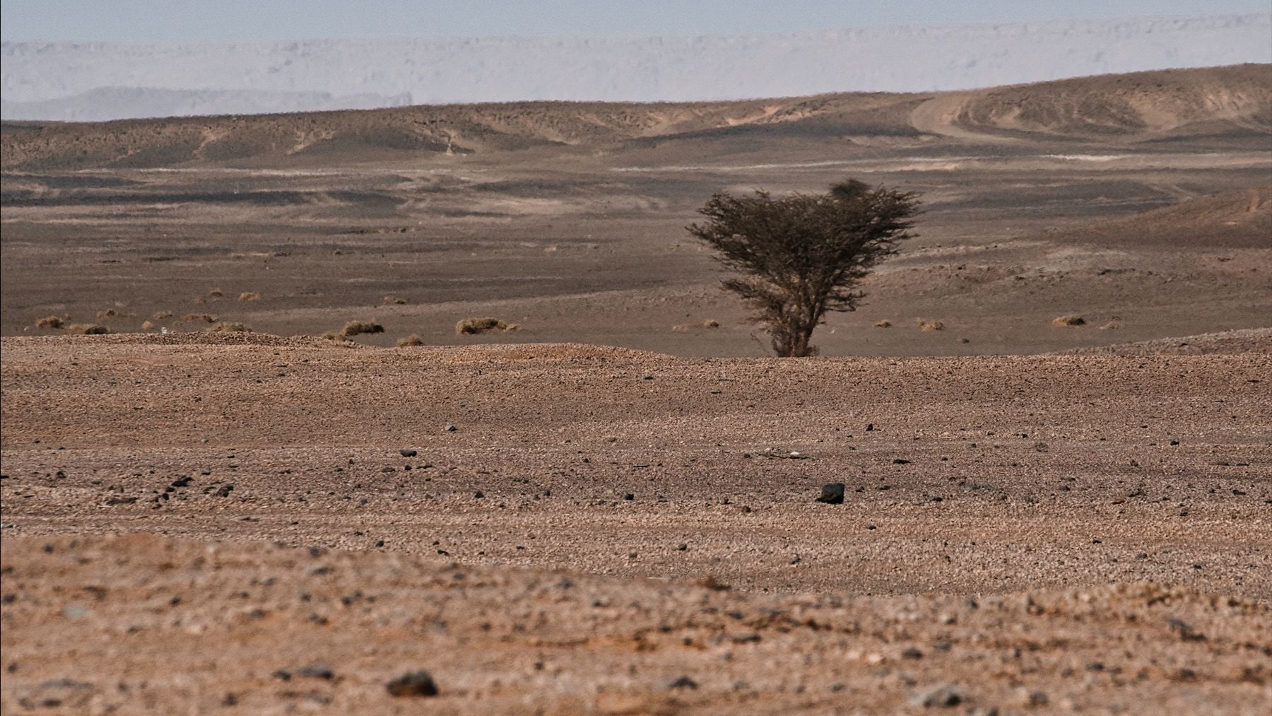 Marruecos bombea agua del Atlántico al Sáhara para convertir 5.200 hectáreas de desierto en cultivos 🌊🌾🇲🇦 