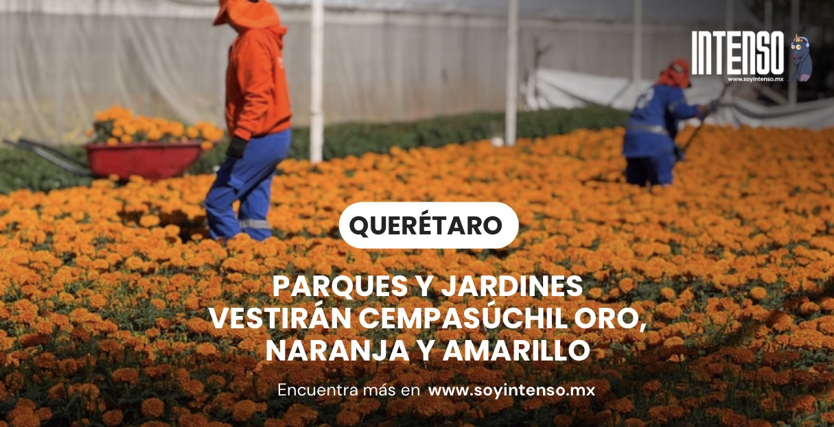 Parques y jardines vestirán cempasúchil oro, naranja y amarillo