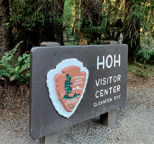 ホー・レイン・フォレスト＆ワイルド・ウェーブズ・テーマ＆ウォーター