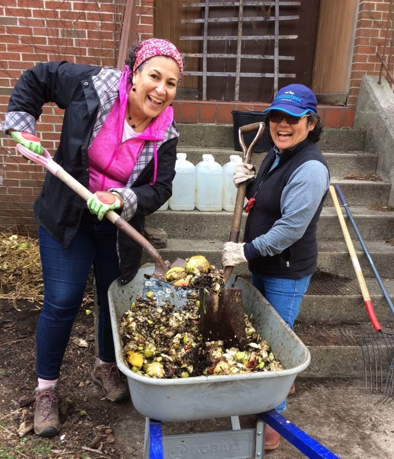 Compost Queens - Minimal Backgrounds - Perfect HD Collection