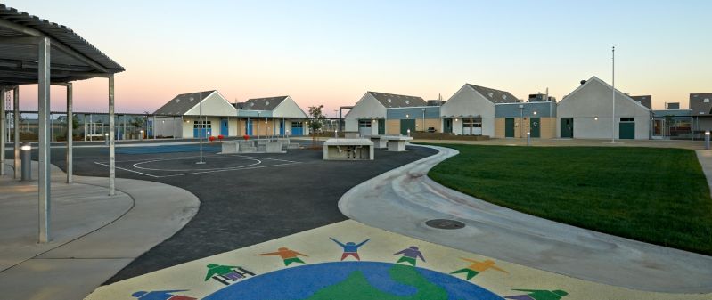 Home Colusa Coe - Nature Pattern Collection - Mobile Quality