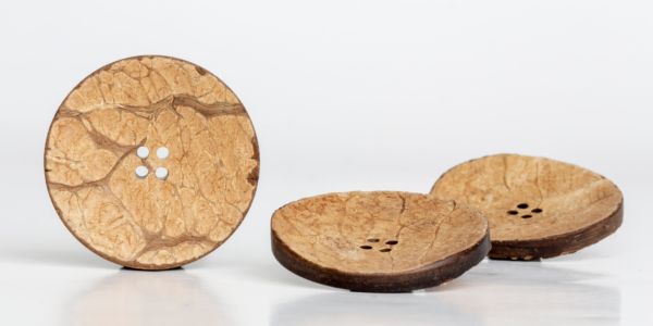 Coconut Buttons Beadpark Com - Nature Illustration Collection - High Resolution Quality