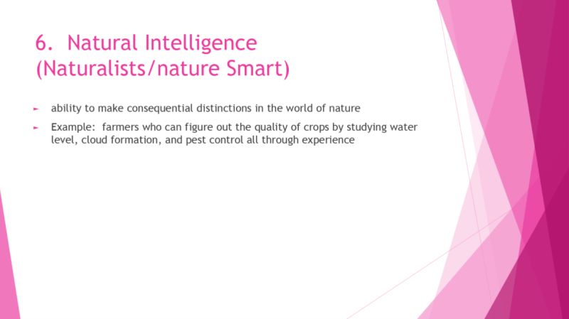 Interdisciplinary Curriculum Custom Programs Learning Links Academy - City Patterns - Professional 8K Collection