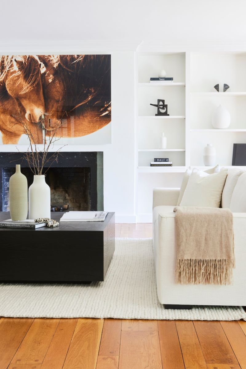 Equestrian Project Ltw Design - Gradient Pictures - Gorgeous Ultra HD Collection