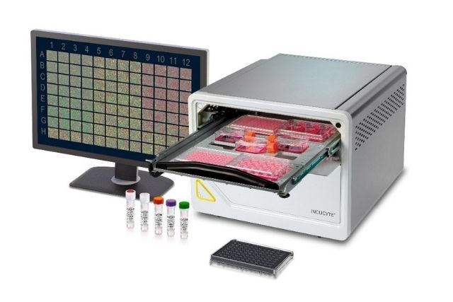 Sartorius Open Source Livecell A Deep Learning Dataset For Label - Best Mountain Illustrations in Ultra HD