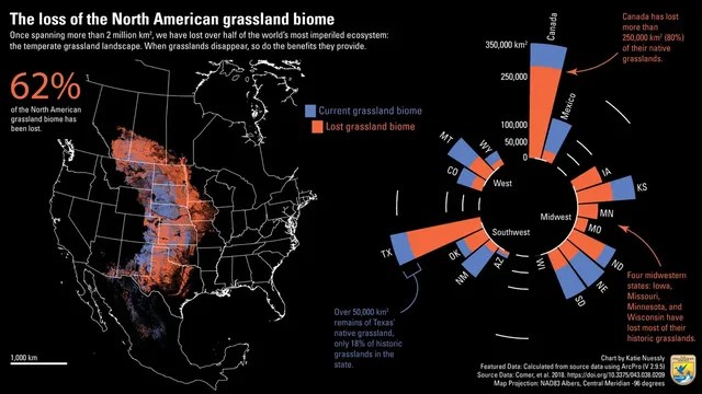 Preview Image Of Map Of Grassland Loss In North America 134507