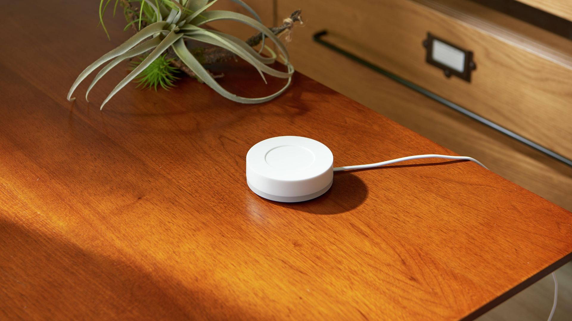 スマートリモコン<SPOT Mini> - SpaceCore（スペースコア）