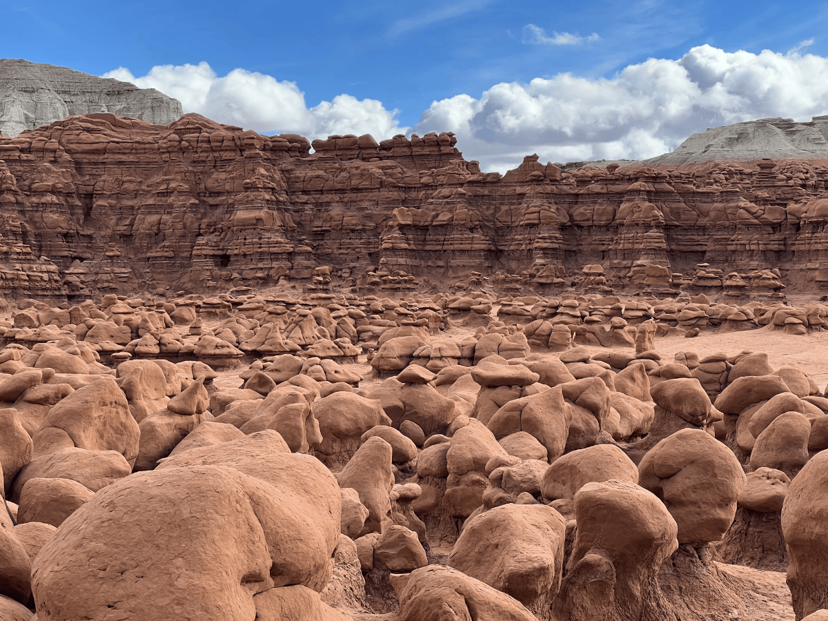 Distant backdrop wall of striped rock, with a valley floor of unique hoodoos, sandstone formations that look like mushrooms or goblins