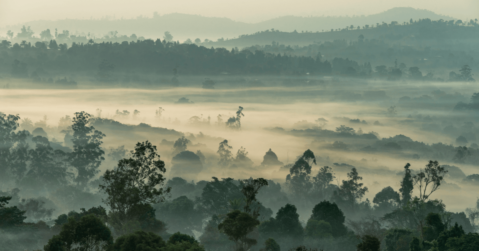 The Silent Killer: Unraveling the Mystery of Lake Nyos (2026)
