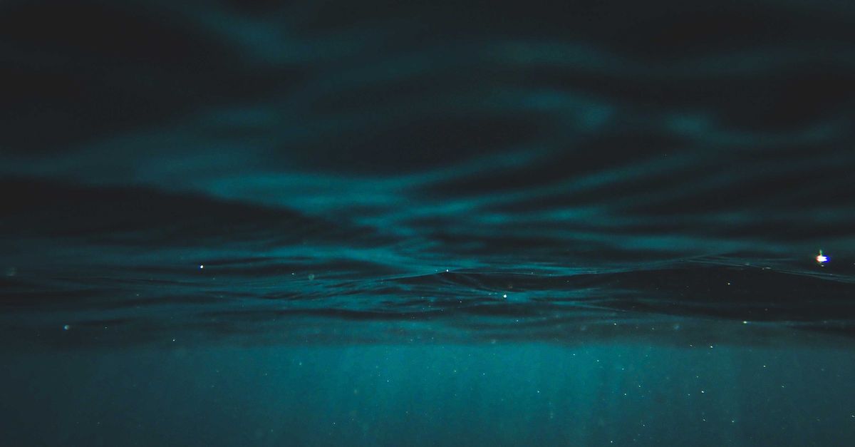 Deep Ocean Exploration: Uncovering the Unknown (2026)