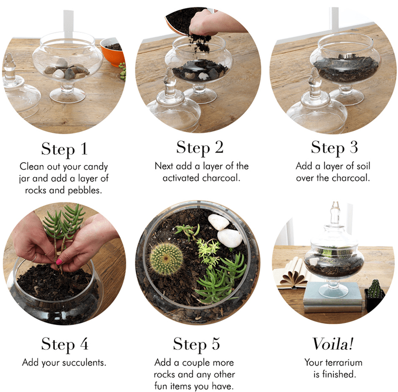 However, there are easier and less expensive way. Diy Terrariums Step By Step Procedure How To Make Terrariums Succulent Planter Diy Terrarium