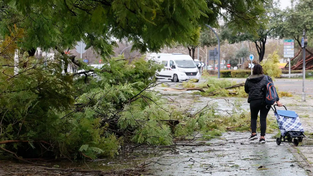 Шторм «Леонардо» накрыл юг Испании: тысячи эвакуированных, риск наводнений и остановка поездов в Андалусии