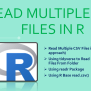 How To Read Multiple CSV Files In R - Spark By {Examples}