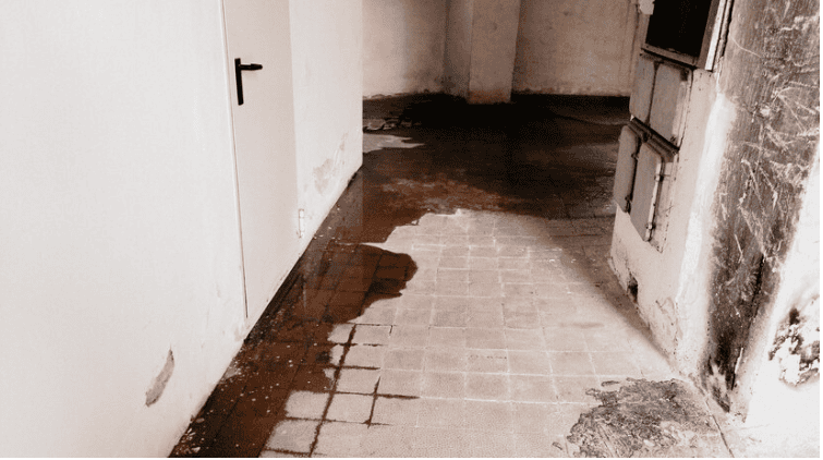 WATER DAMAGE REPAIR