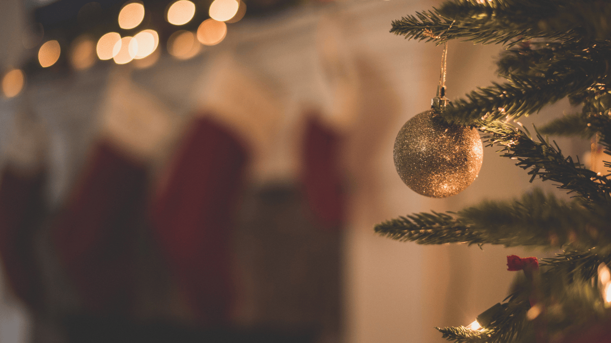 Holiday Gift Guide