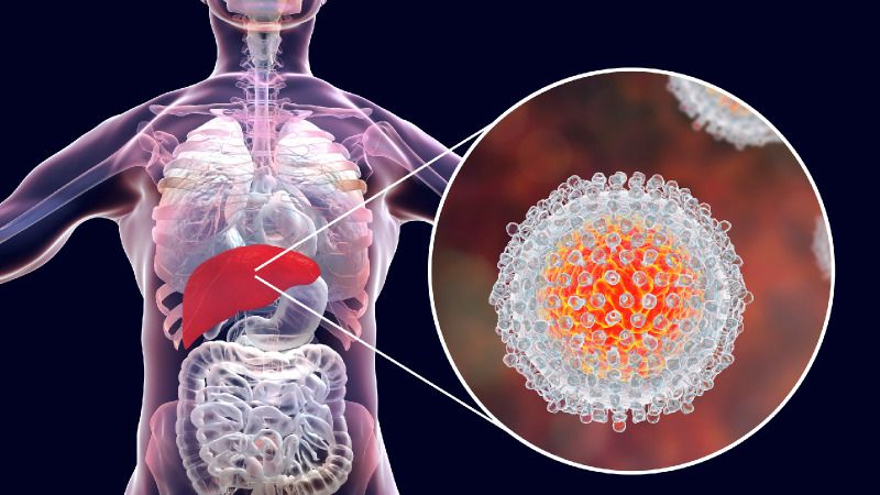 Hepatitis A நோய்க்கு எதிரான முதல் இந்திய தயாரிப்புத் தடுப்பூசி அறிமுகம்!