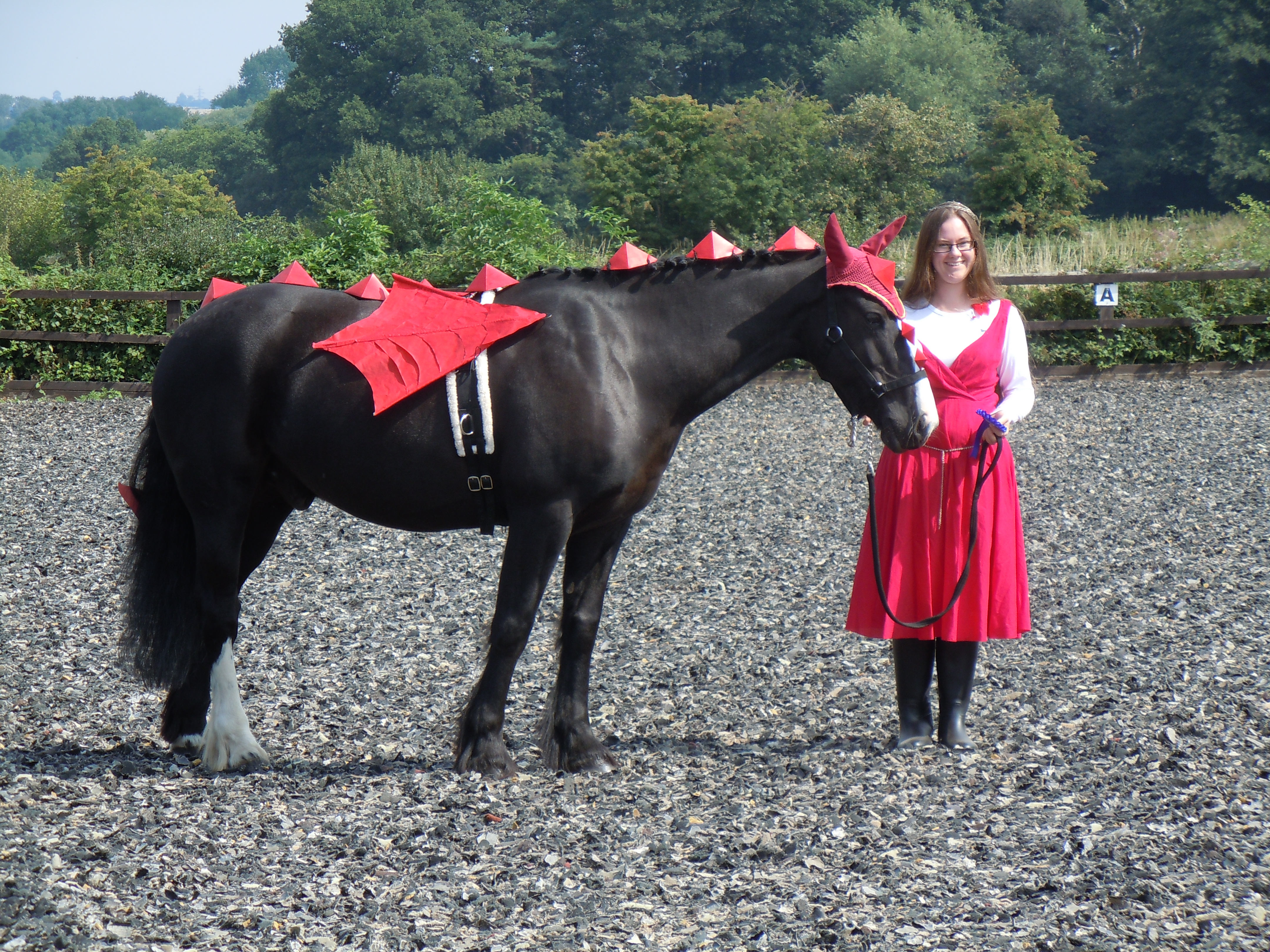Horse Fancy Dress Sparrowgrass