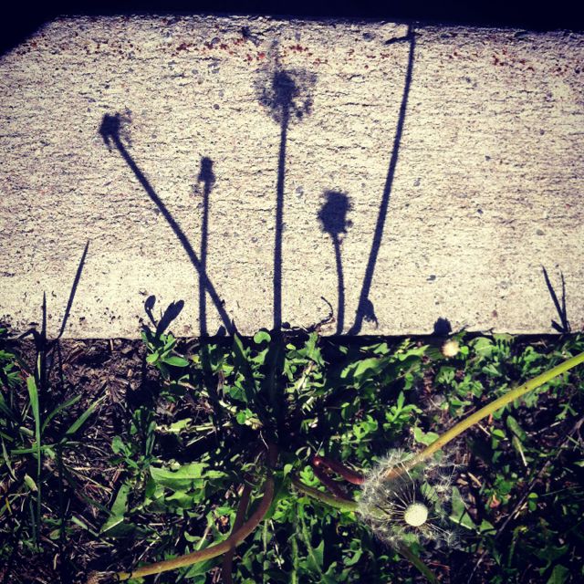 playing with shadows