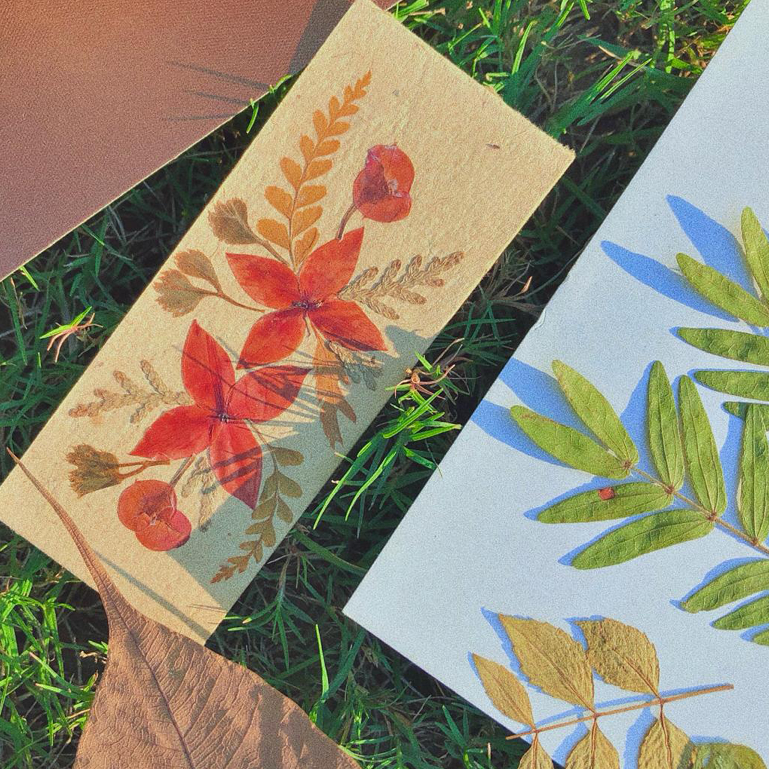 Dried Press Flower Craft Sample