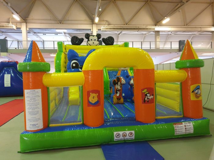 Maus Kinderrutsche Hüpfburg Verleih – Bild 8