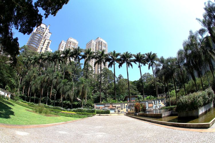 image 2 - O Lindo Parque Burle Marx
